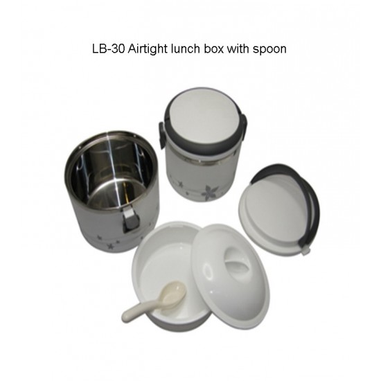 Airtight Lunch Box with Spoon